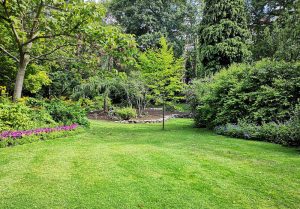 Optimiser l'expérience du jardin à Calmoutier